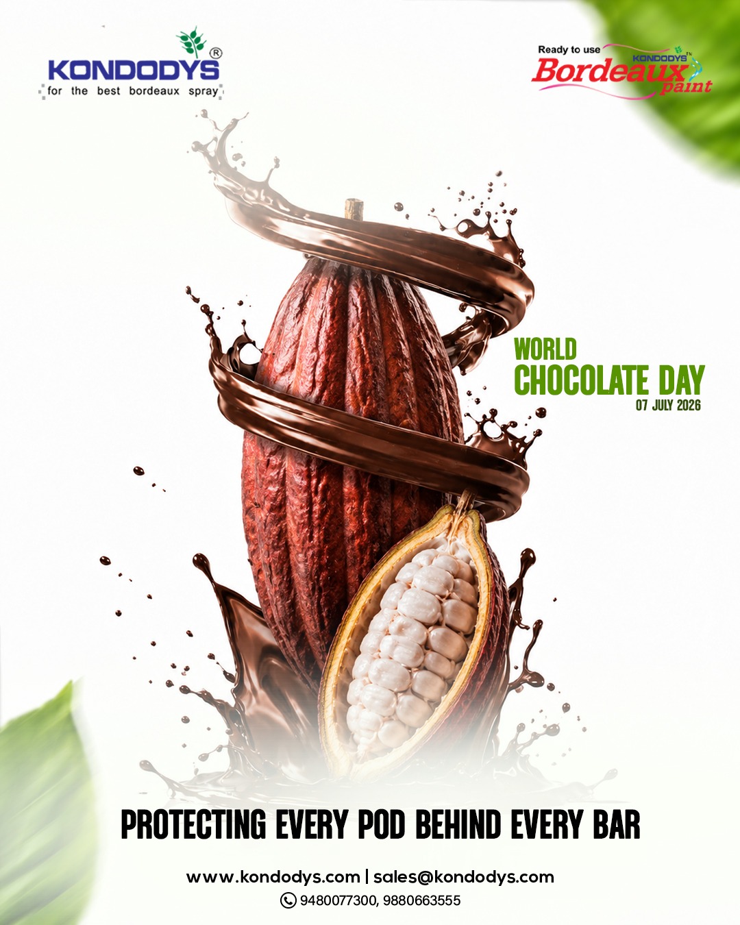 Chavara ad media